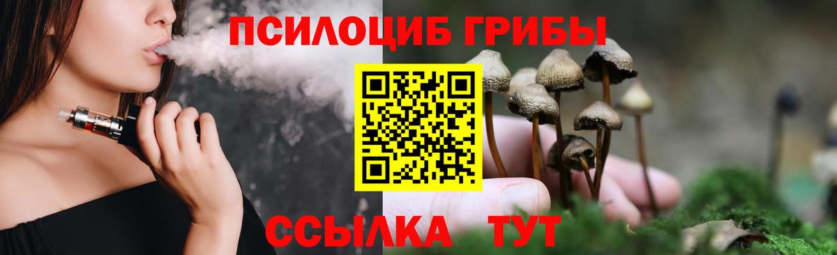 Галлюциногенные грибы Psilocybe  Вход с VPN  Псилоцибиновые грибы Psilocybe  Миллерово 